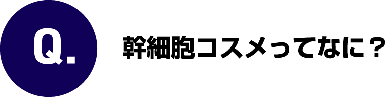 Q.幹細胞コスメってなに？