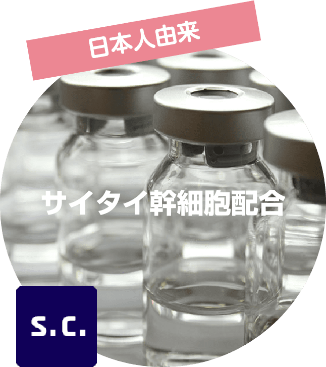 日本人由来サイタイ幹細胞配合