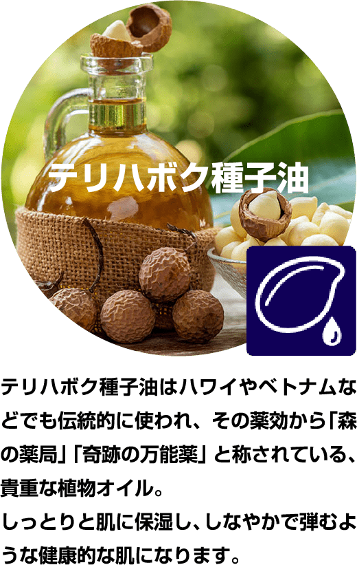 テリハボク種子油