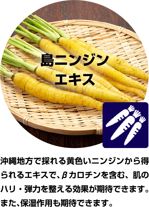 島ニンジンエキス